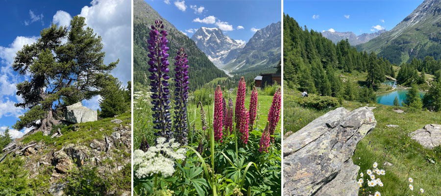 Impressionen beim Wandern